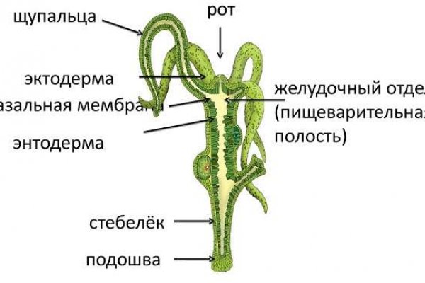 Кракен даркнет маркет плейс