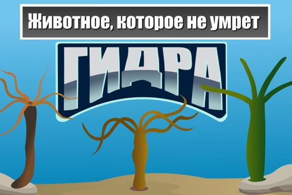 Kraken магазин интернет