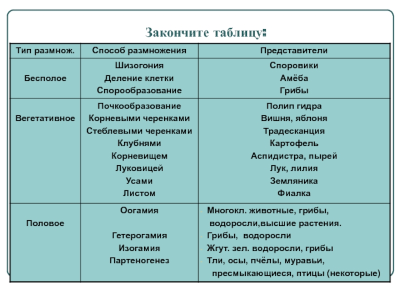 Даркмаркет кракен